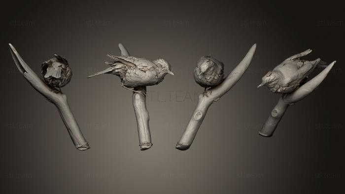 Статуэтки птицы Серощекий дрозд